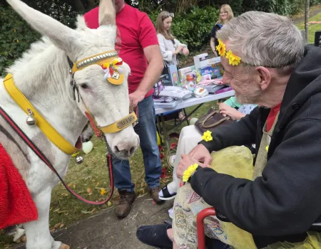Summer Fayre