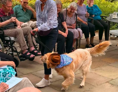 Annual Dog Show