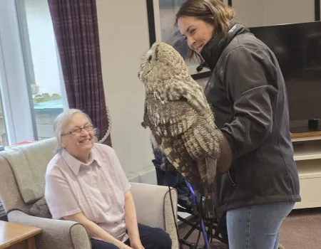 Owl being seeing you
