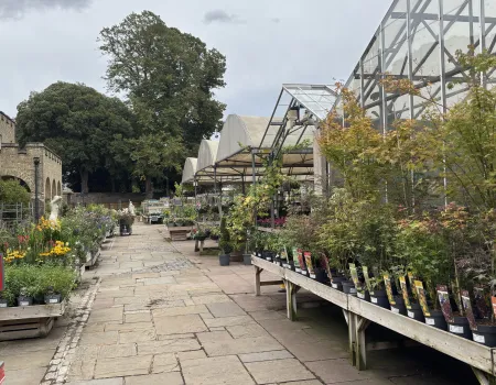 Outing to Hillier Garden Centre at Syon Park