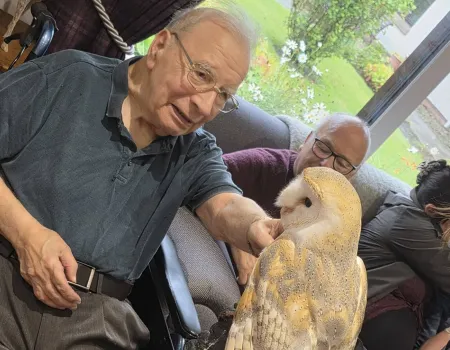 Owl being seeing you