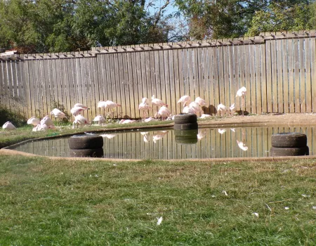 Hamerton Zoo Park