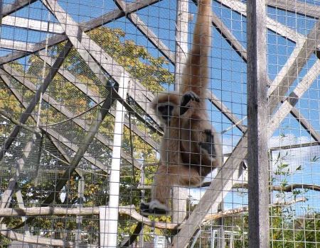 Hamerton Zoo Park