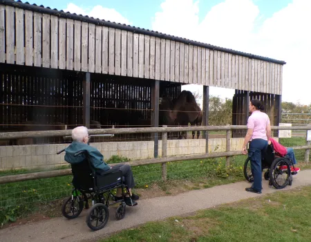 Hamerton Zoo Park