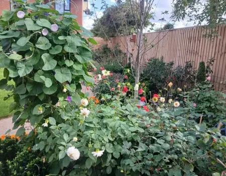 Our Beautiful Gardens