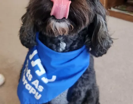 A Pawsitively Wonderful Visit from Winston🐾
