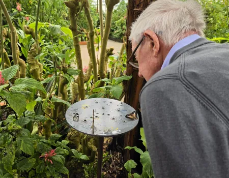 Wye Valley Butterfly Zoo