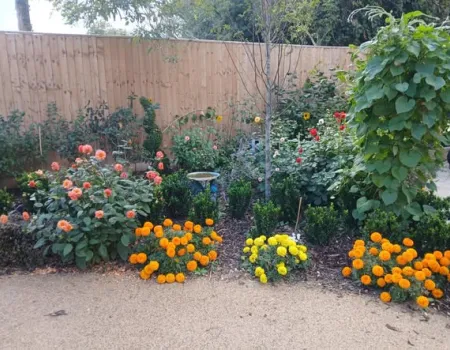 Our Beautiful Gardens