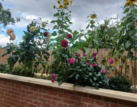 Our Beautiful Gardens