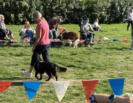 A Pawsome Day at the Longueville Court Dog Show!