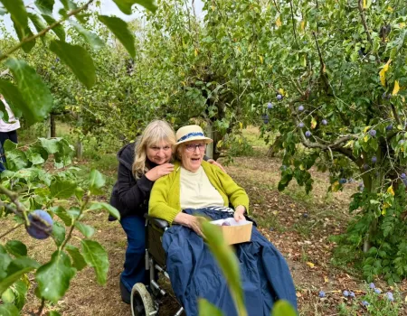 Fruit Picking Fun
