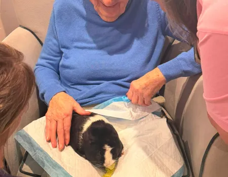 Animal therapy