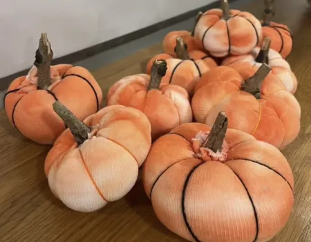 Pumpkin Pie and Pottery 