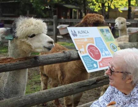 Wonderful Animal Adventures for Our Residents 
