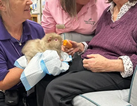 Animal therapy