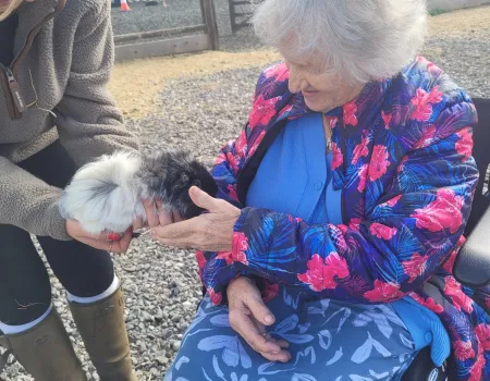 Wonderful Animal Adventures for Our Residents 