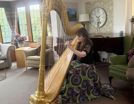 Harpist