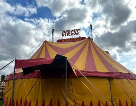 A trip to the circus 
