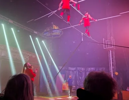 A trip to the circus 