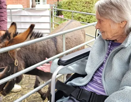 Residents Enjoy Donkey Visit to Home