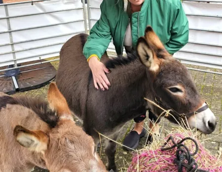 Residents Enjoy Donkey Visit to Home