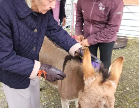 Residents Enjoy Donkey Visit to Home