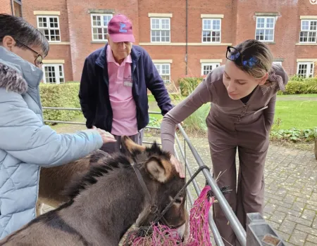 Residents Enjoy Donkey Visit to Home