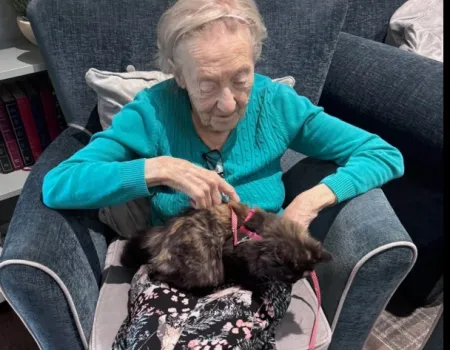 Pet Therapy with lots of Cuddles