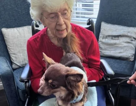 Pet Therapy with lots of Cuddles