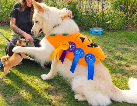 Paws, Prizes, and Pure Community Spirit at Elm Bank