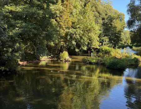A Refreshing Morning by the Lake