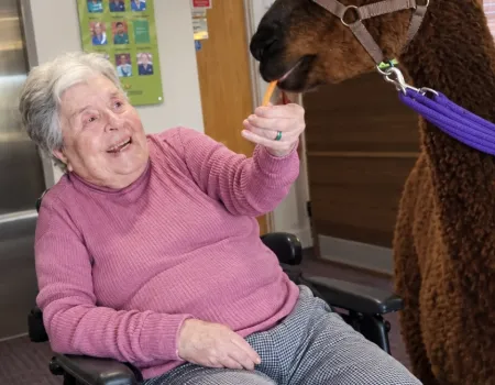 A WILDLY WONDERFUL ANIMAL DAY! 