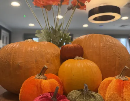 Autumn has officially arrived at Moors Manor
