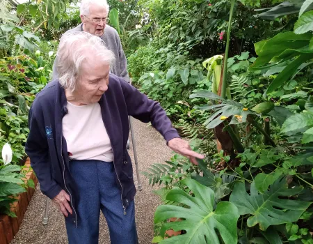 Wye Valley Butterfly Zoo