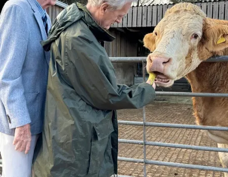 Back to the Farm