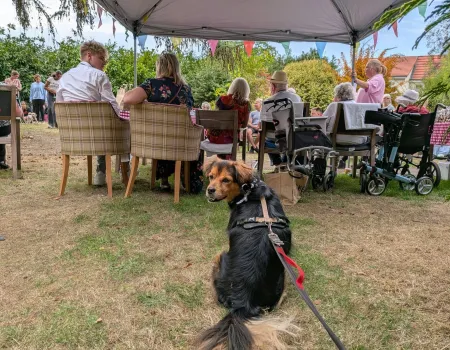 Dog show