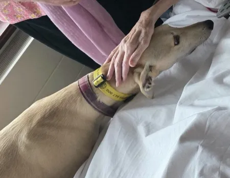 The One with the Waggely Tail