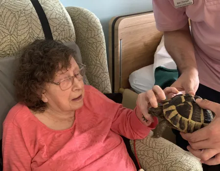 Animal therapy