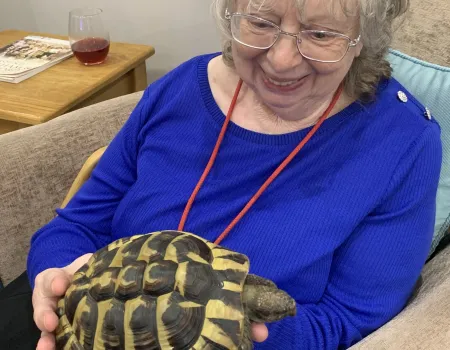 Animal therapy