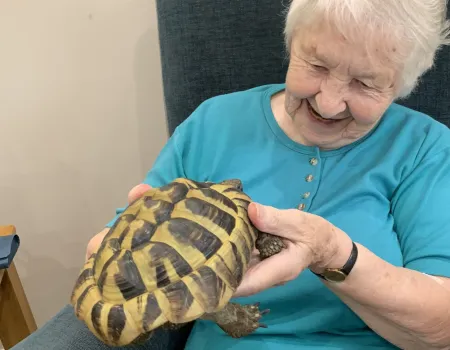 Animal therapy