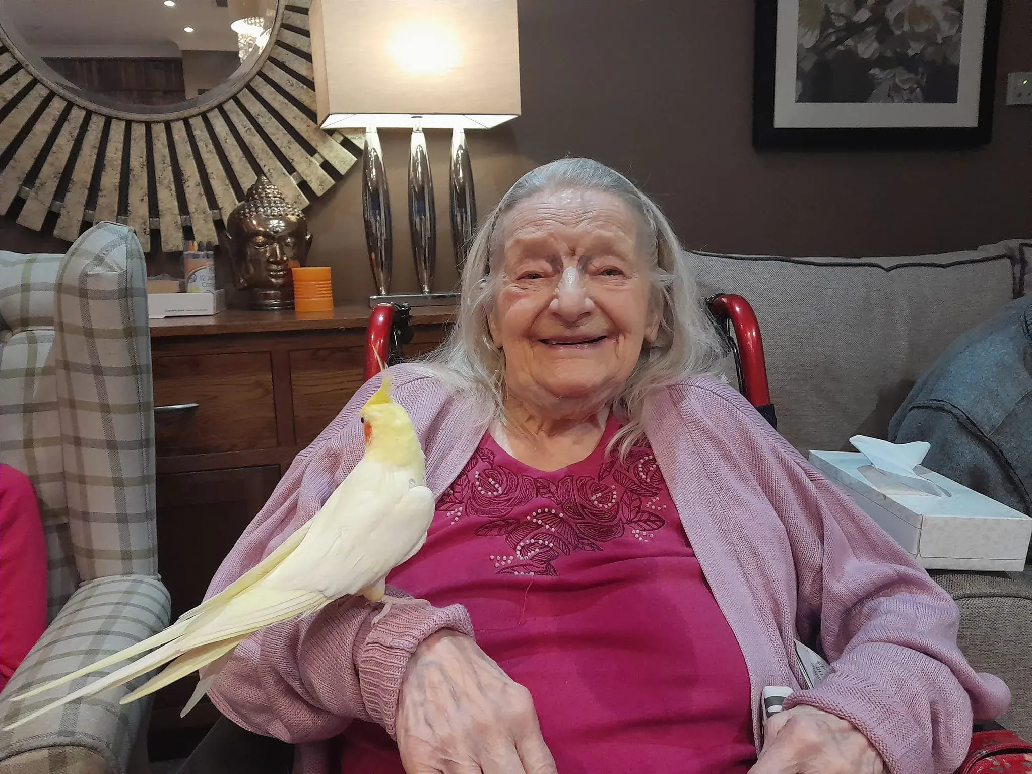 Poppy the Cockatiel