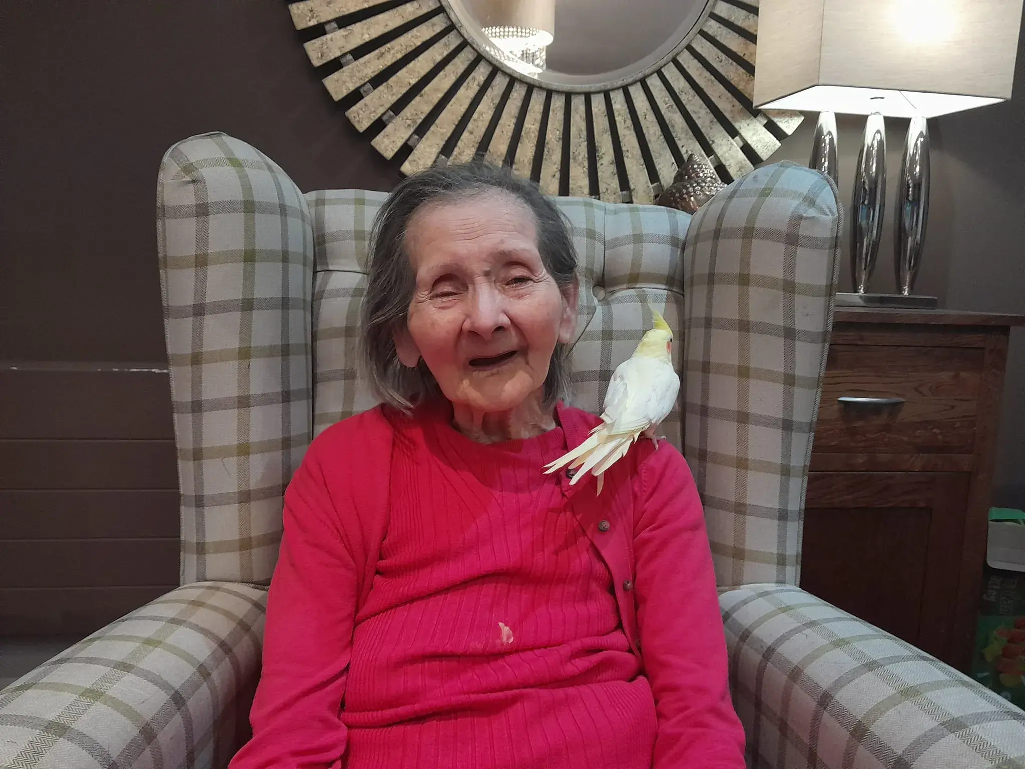 Poppy the Cockatiel