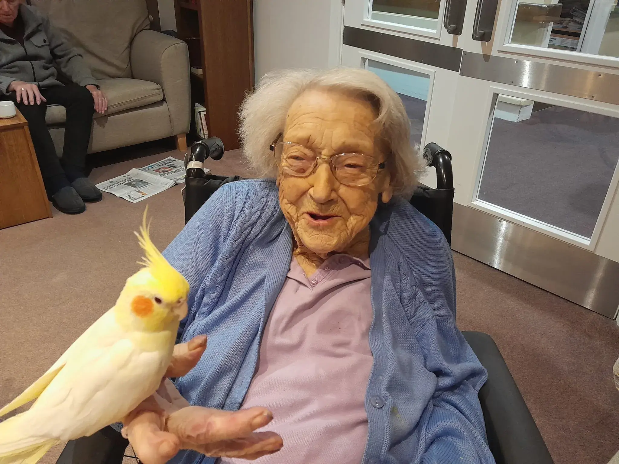 Poppy the Cockatiel