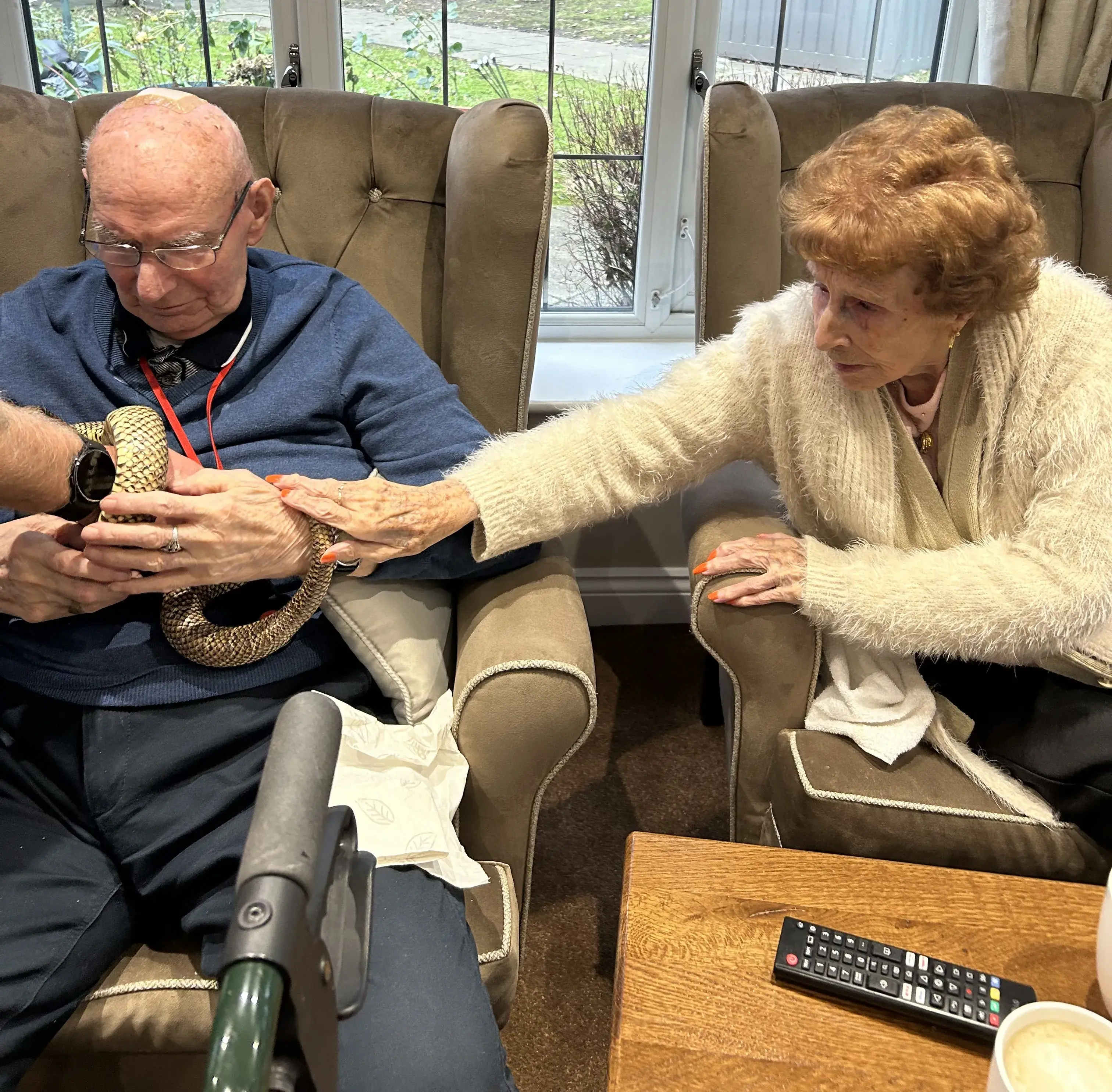Reptile Fun at Lawton Manor