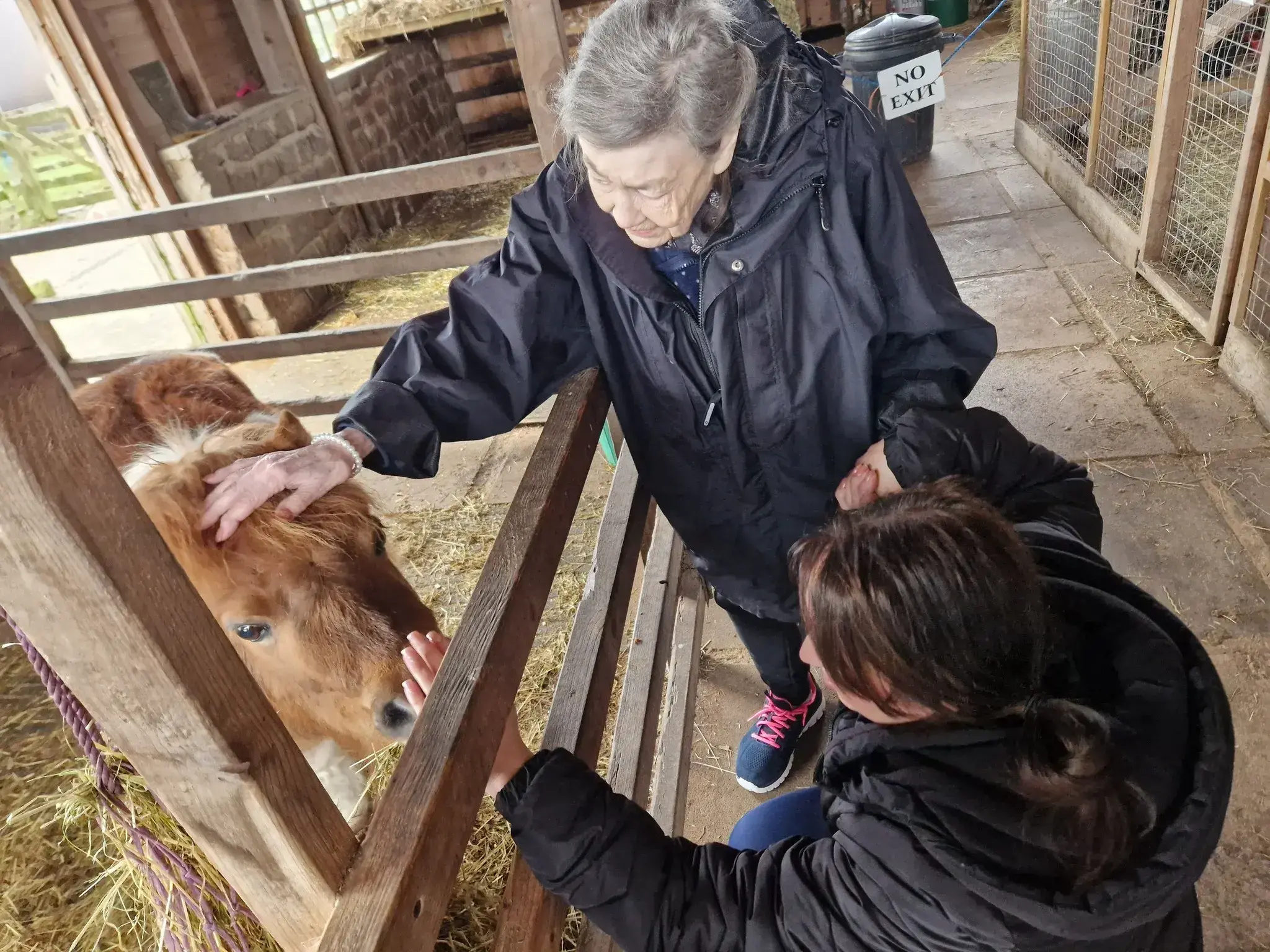 Farm Visit!