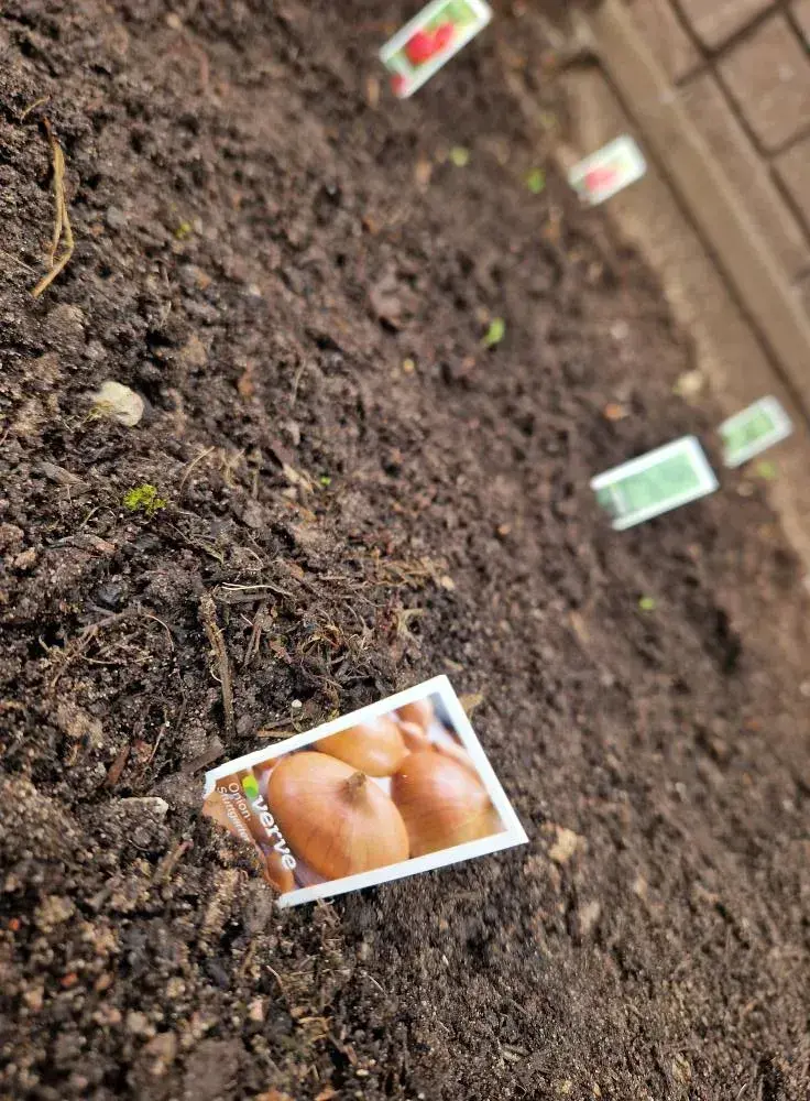 Gardening Club
