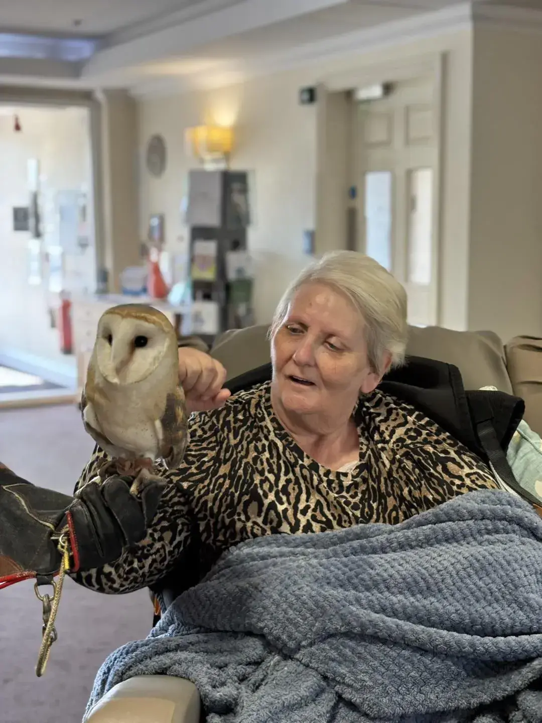 Meet the Owls