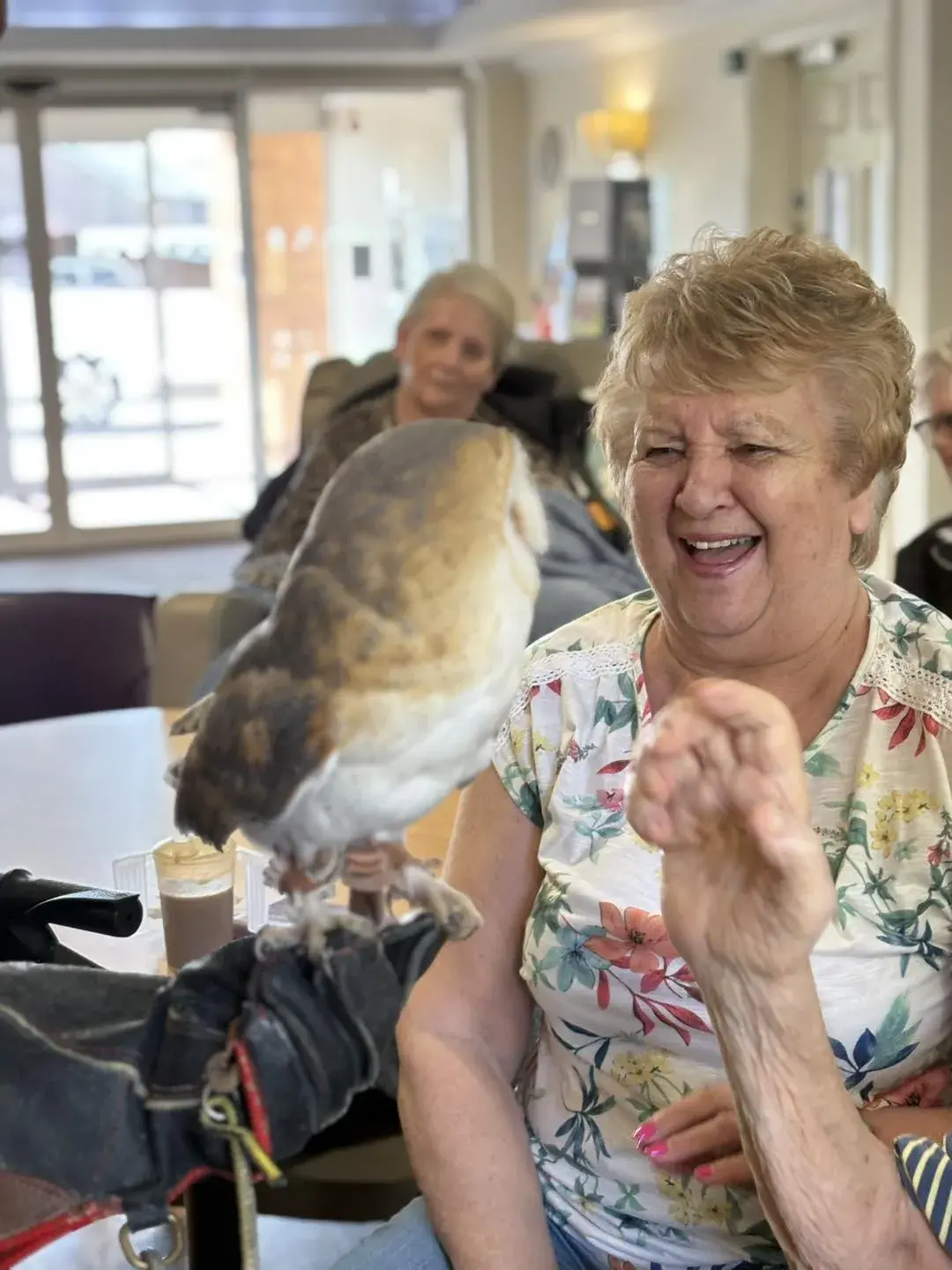 Meet the Owls