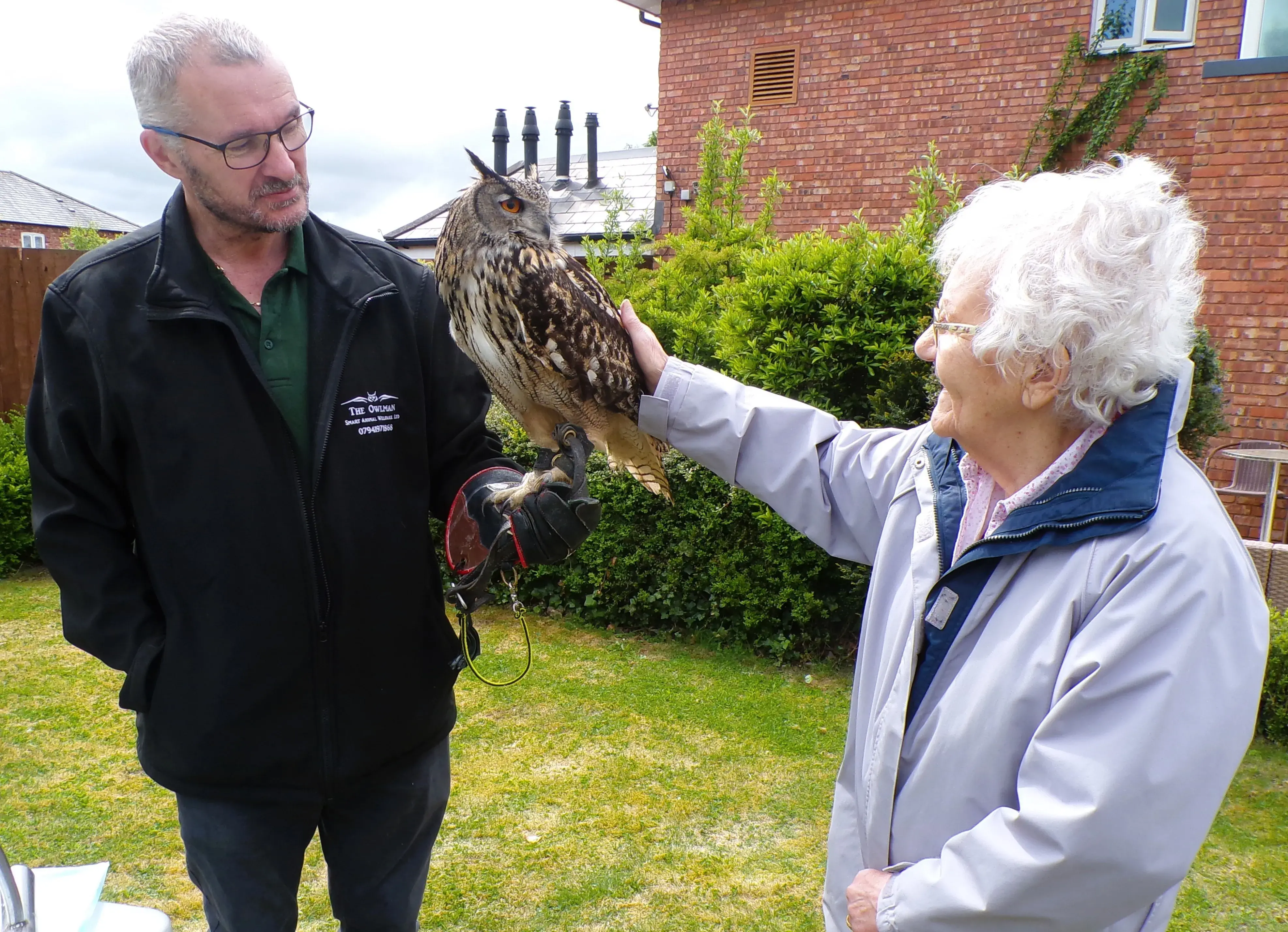 Animal visit