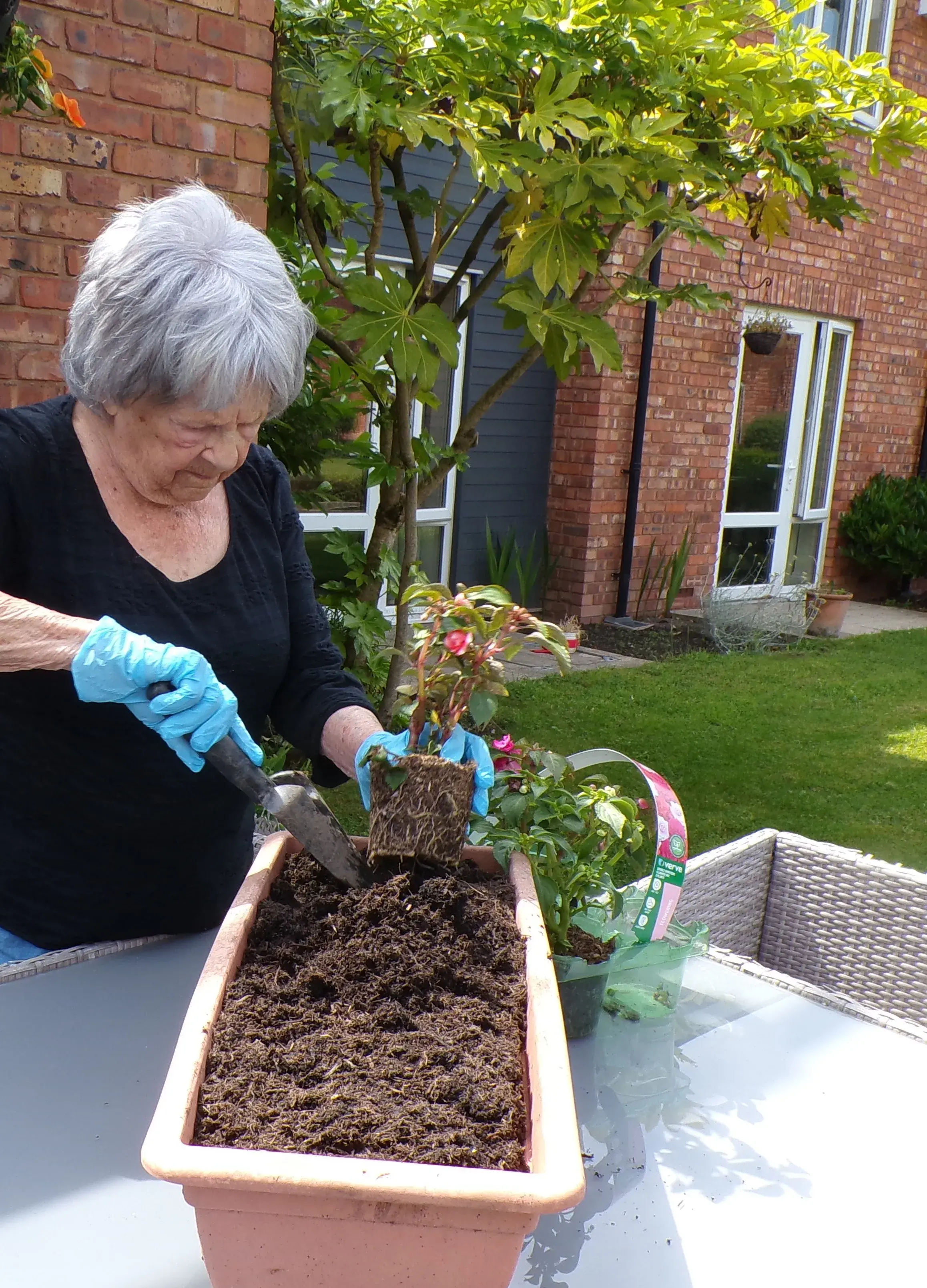 British Flower Week
